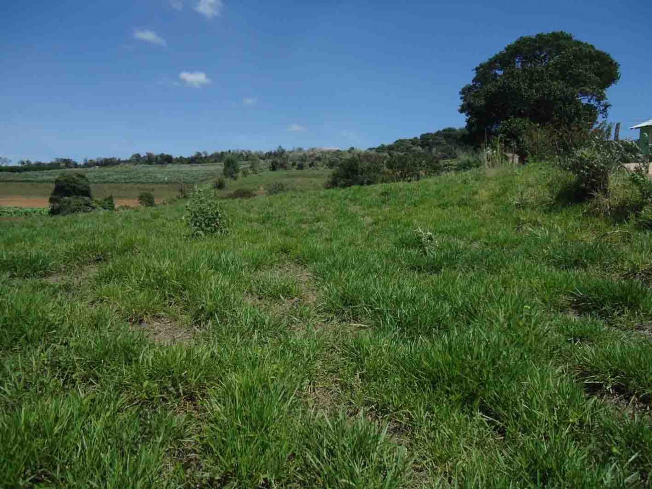 Terreno a venda