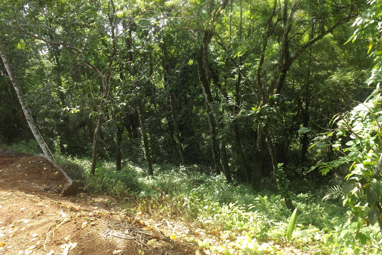 Terreno a venda