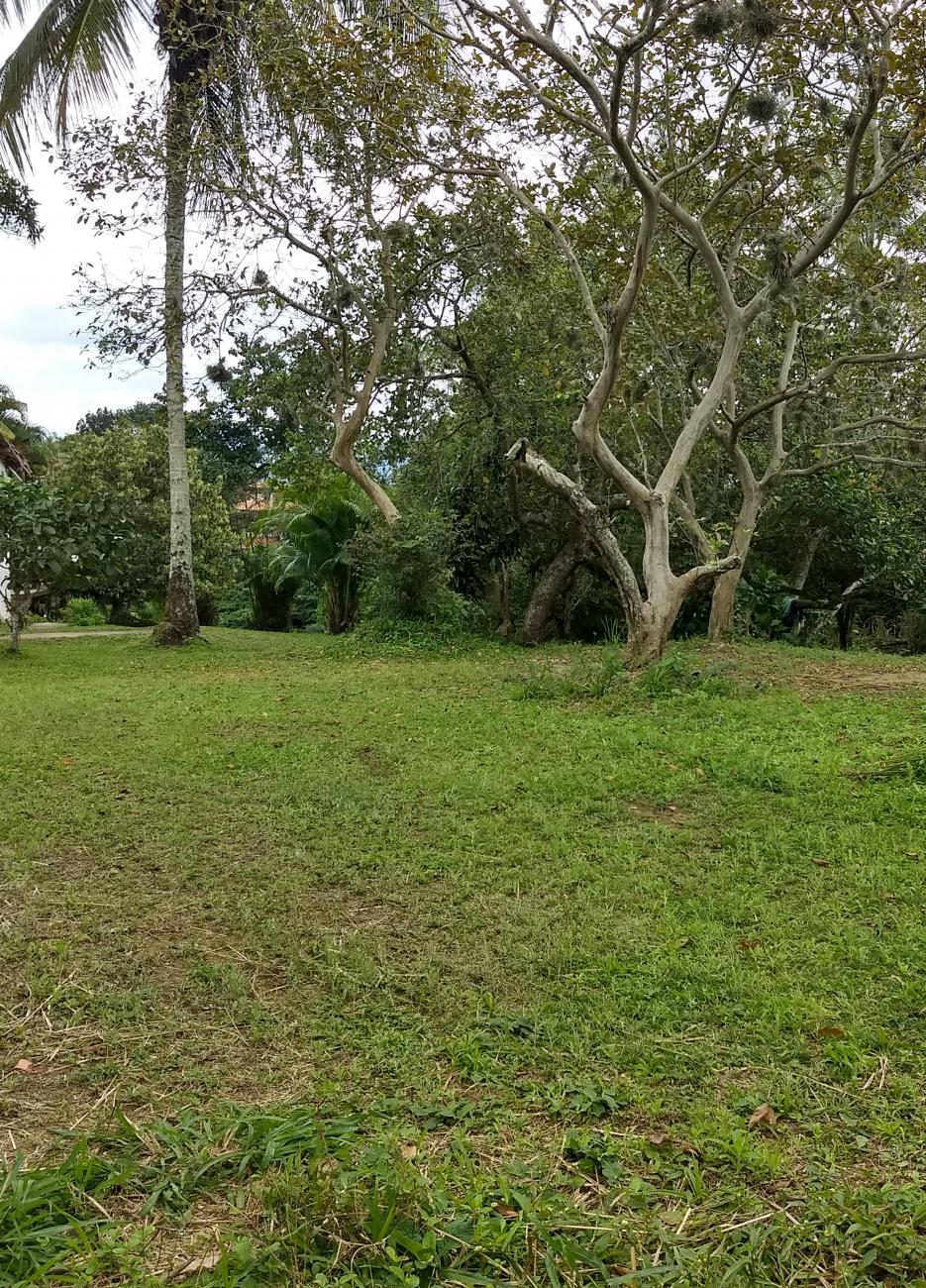 Terreno a venda