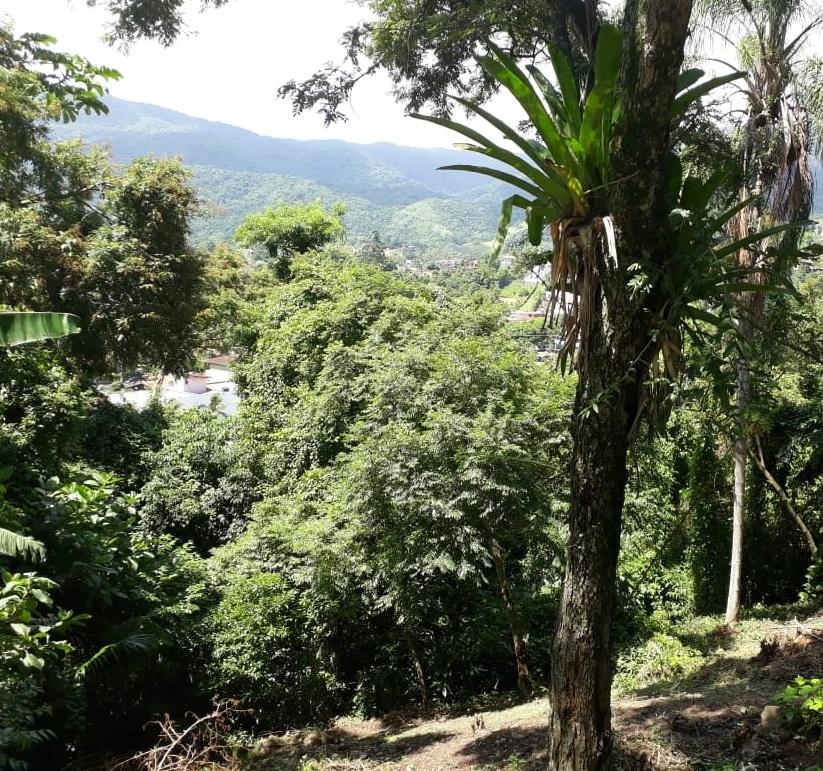 Terreno a venda