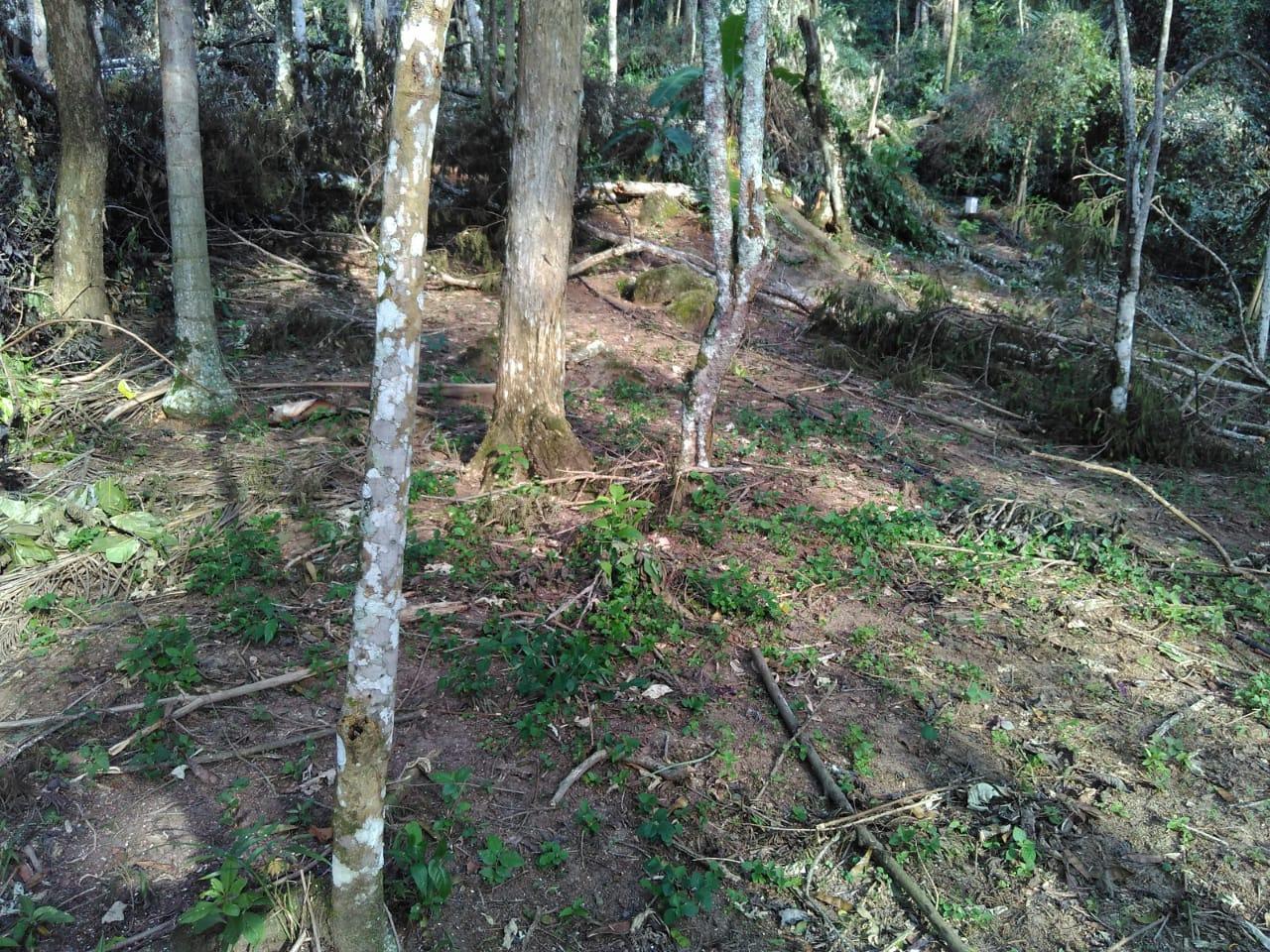 Terreno a venda