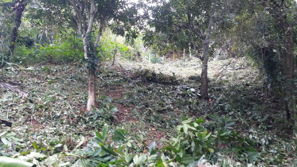 Terreno a venda