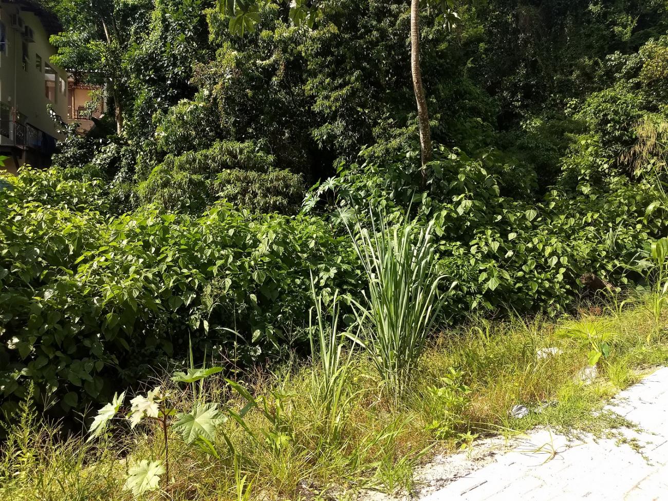 Terreno a venda