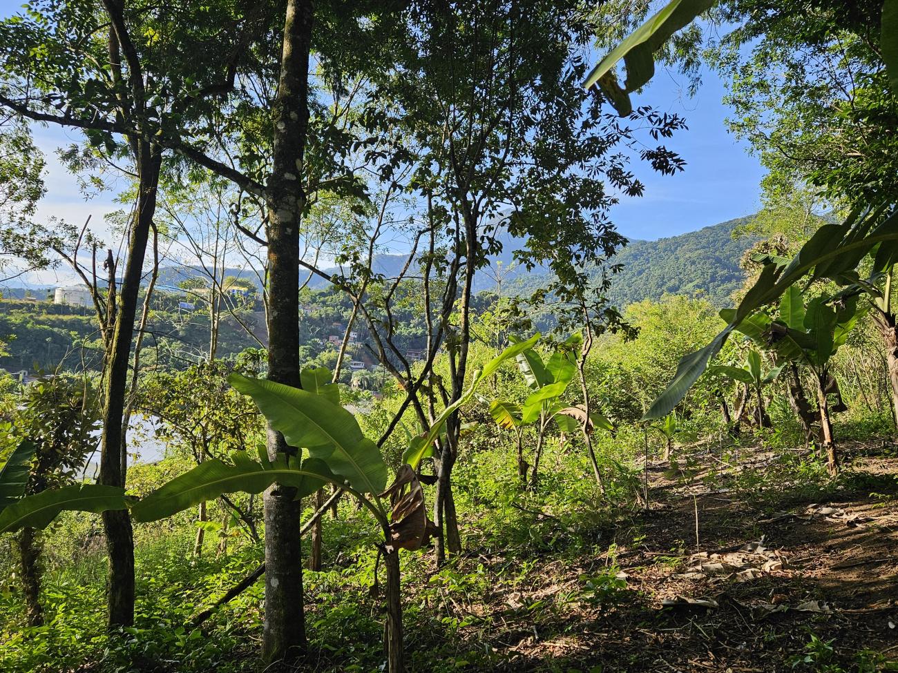 Terreno a venda
