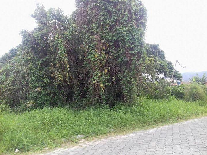 Terreno a venda, Gravata