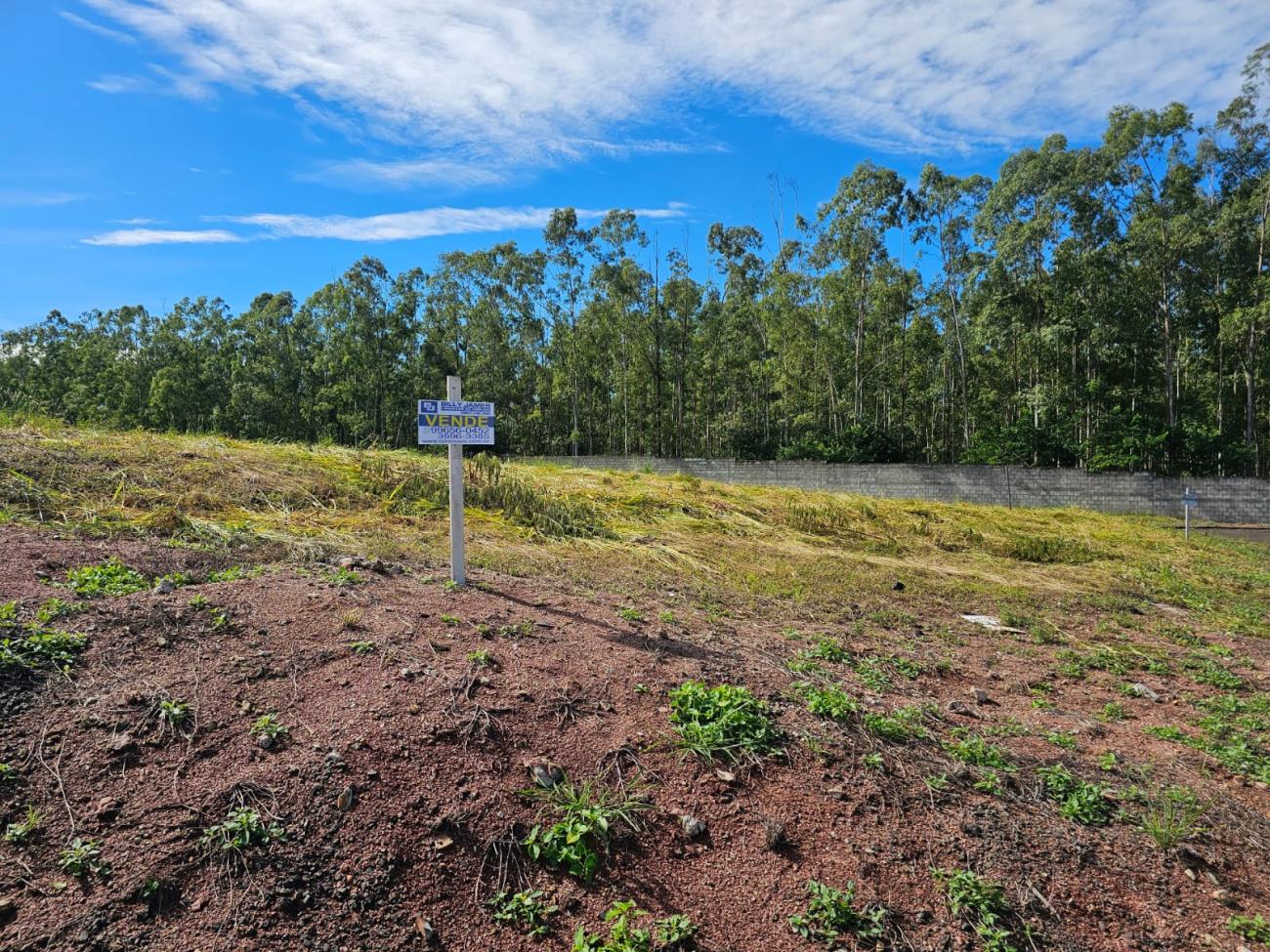 Terreno, 500 m² - Foto 3