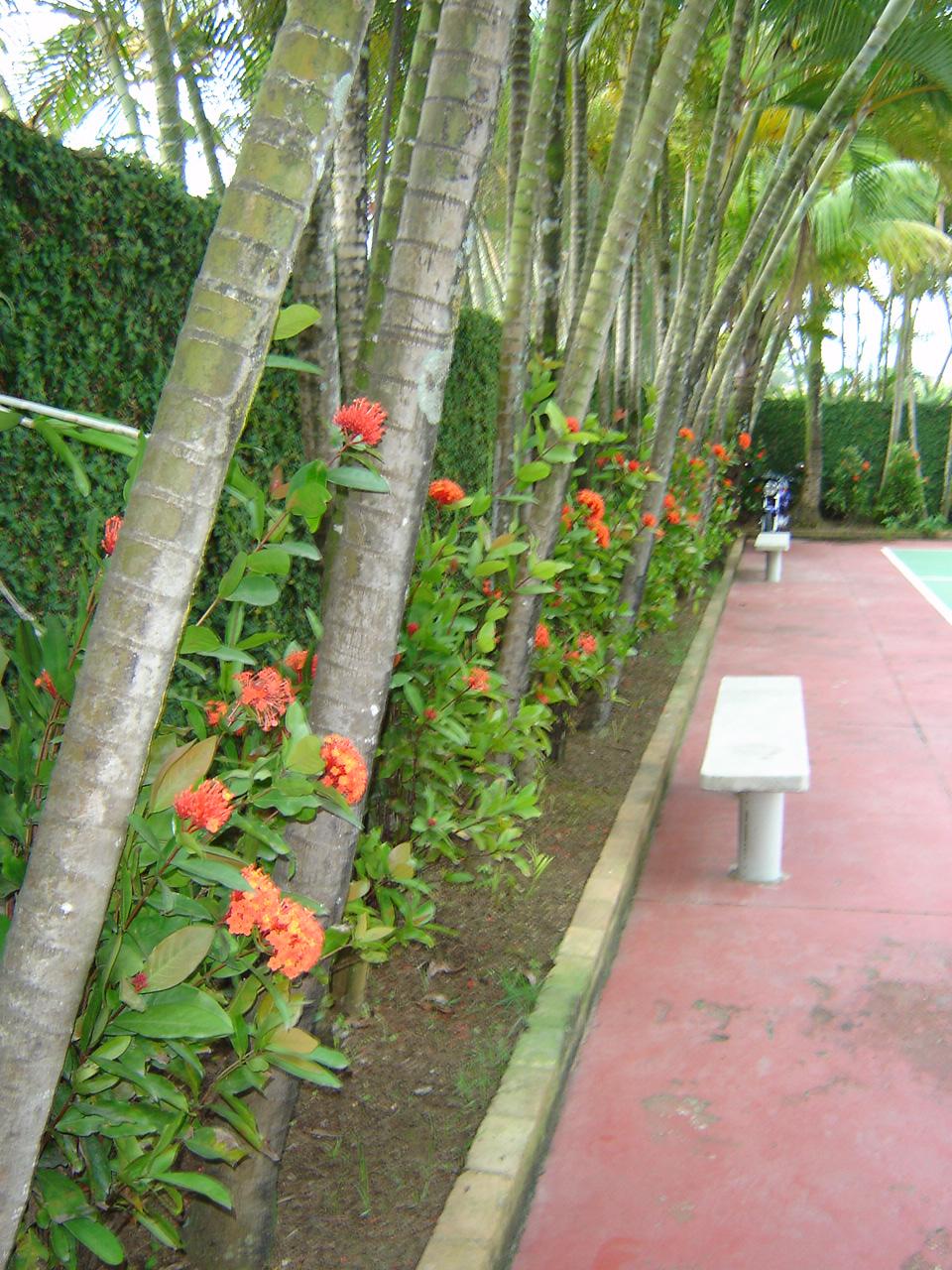 Casa, 4 quartos, 350 m² - Foto 6