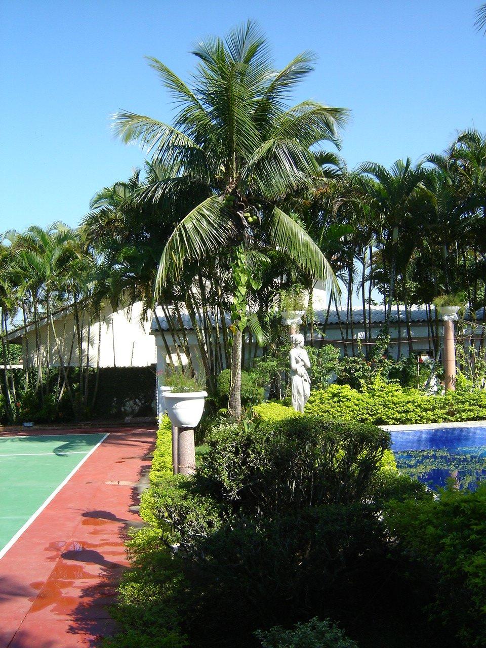 Casa, 4 quartos, 350 m² - Foto 13