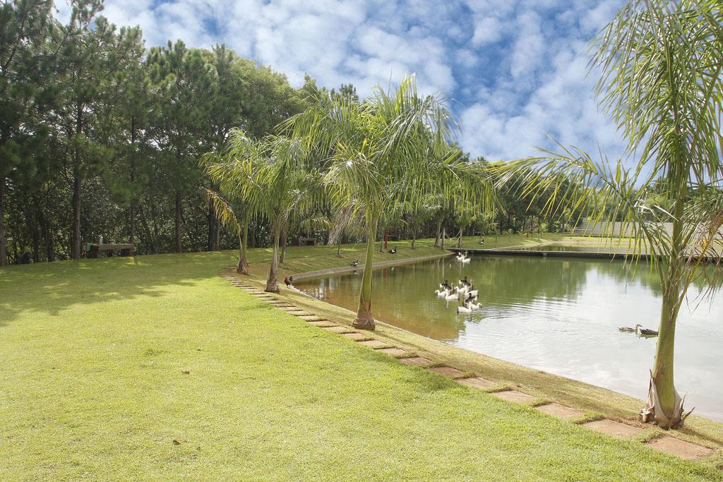 Depósito-Galpão, 3 m² - Foto 3