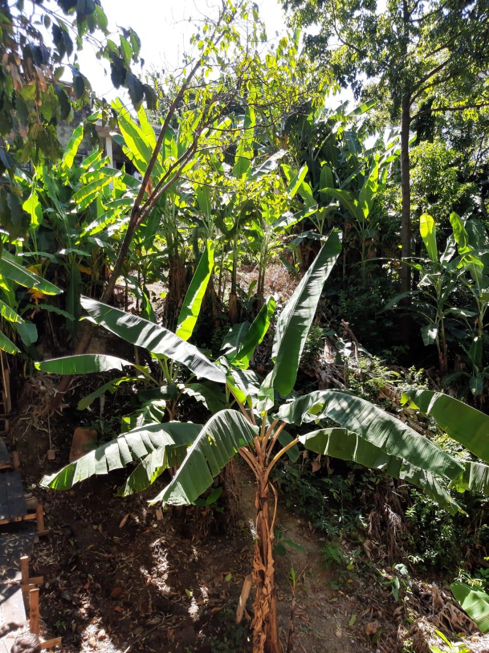 Terreno a venda