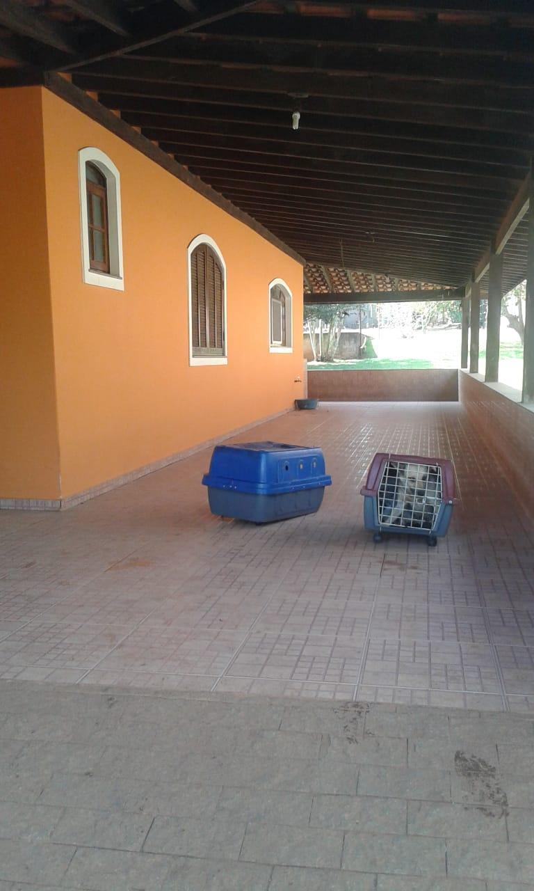 Sítio - Foto 5