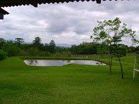 Sítio, 2 quartos - Foto 5