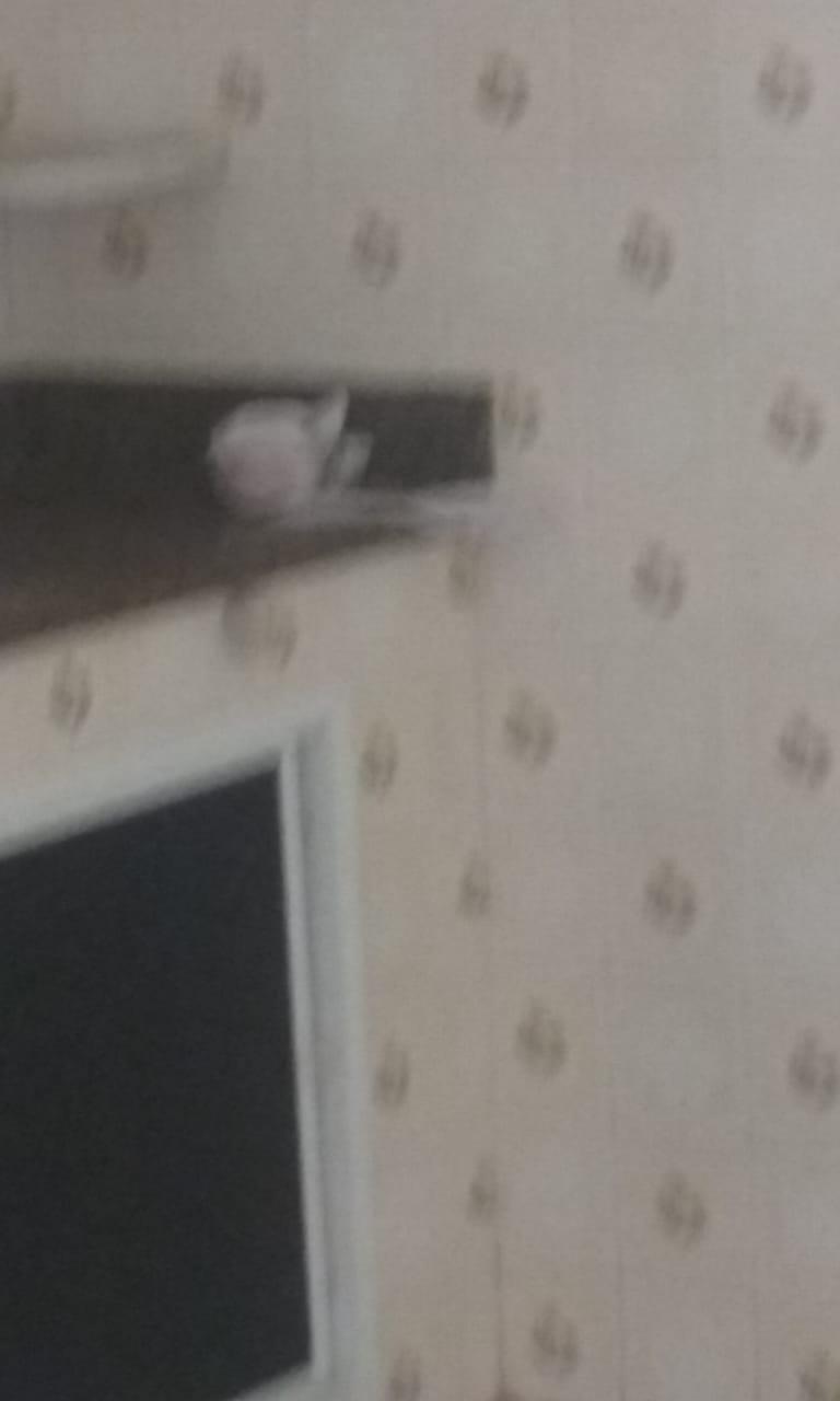 Apartamento, 2 quartos - Foto 10