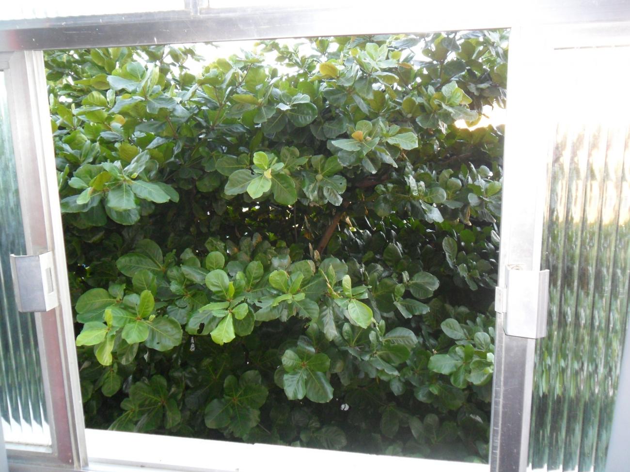 Apartamento, 2 quartos - Foto 18