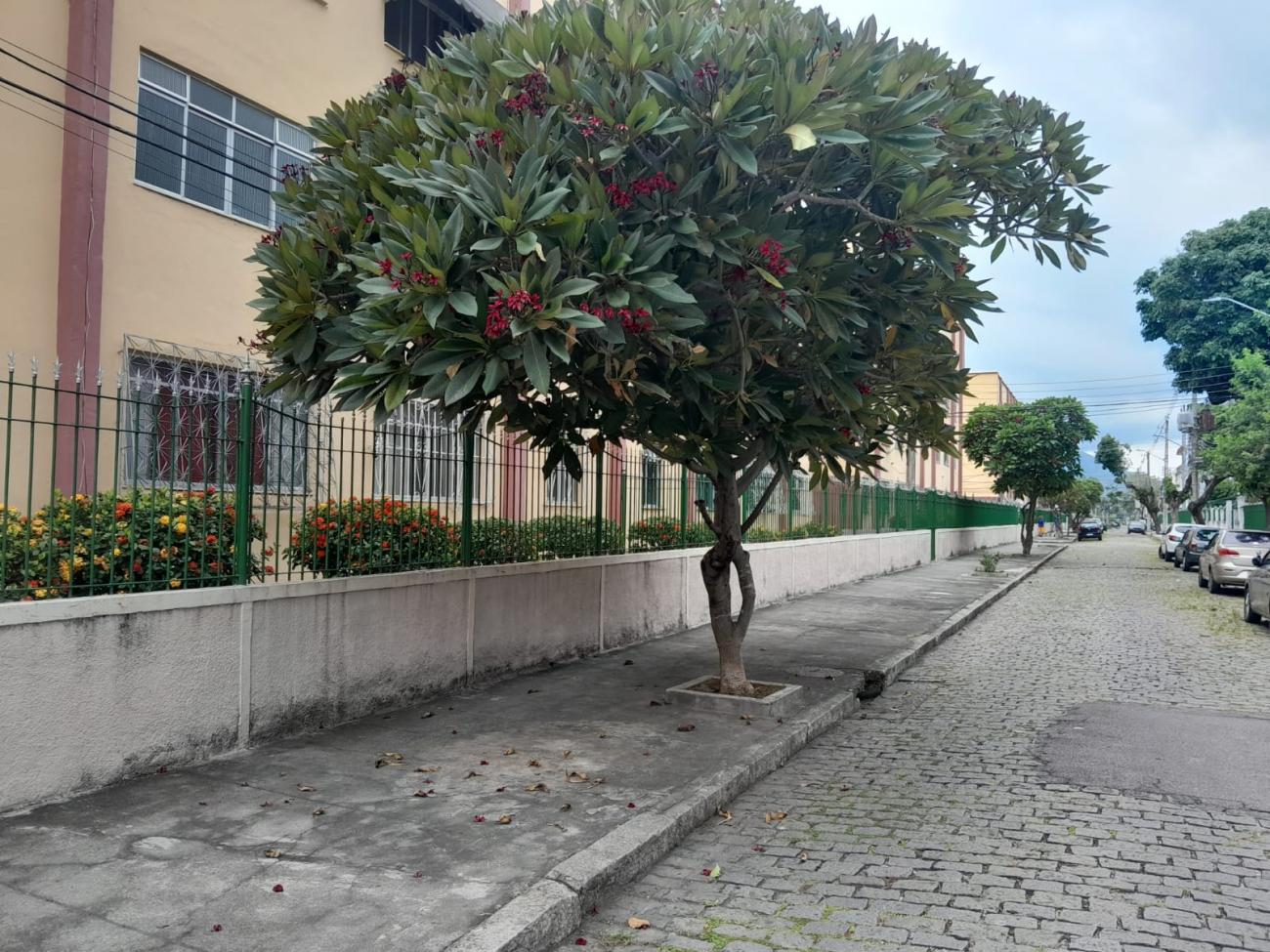 Apartamento, 2 quartos - Foto 1