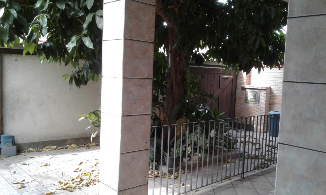 Casa, 3 quartos - Foto 31