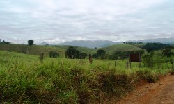A volta dos terrenos e loteamentos