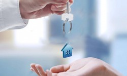 Corretor, Não Faça Pouco do Mercado de Locação