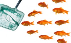 O custo de anúncios de imóveis online