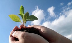 Sustentabilidade e Mercado Imobiliário